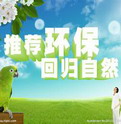 廉价和清洁能源


